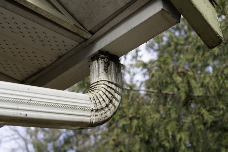 Eavestrough Clearing in Long Island, NY